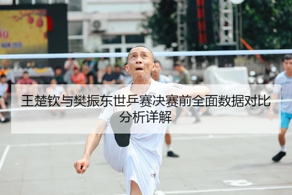 王楚钦与樊振东世乒赛决赛前全面数据对比分析详解